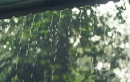 Ấn Độ đón lượng mưa cao hơn trong năm nay