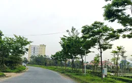 Quảng Bình: Khai trừ nhiều đảng viên liên quan đại án cây xanh Công Minh