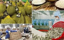 Mở rộng gói tín dụng tiếp sức cho nông, lâm, thủy sản