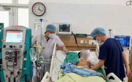 Hái nấm rừng về ăn, 2 vợ chồng hôn mê sâu