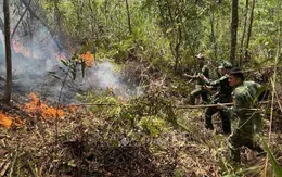 Nắng nóng kéo dài, Cao Bằng liên tiếp xảy ra nhiều vụ cháy rừng