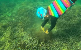 Nha Trang: Thu gom 100kg ngư cụ "Giải cứu" san hô Hòn Chồng