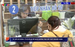 Năm 2025, mức trợ cấp thất nghiệp cao nhất của người lao động là bao nhiêu?