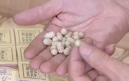 Bộ Y tế phát động cao điểm toàn quốc chống thuốc và thực phẩm chức năng giả