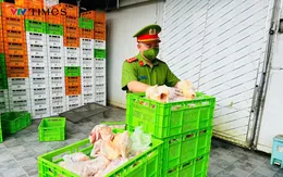 Hà Nội: Phát hiện và ngăn chặn 20 tấn gà bẩn tuồn ra thị trường