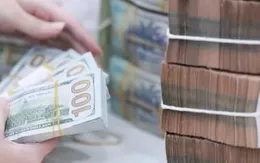 Linh hoạt bảo hiểm tỷ giá, giảm ảnh hưởng từ biến động