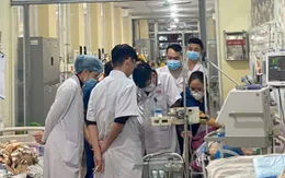 Bị hươu tấn công, bệnh nhân cao tuổi nhập viện nguy kịch với 14 xương sườn gãy