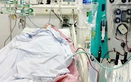 Cứu sống nữ sinh 22 tuổi sốc nhiễm khuẩn nặng do liên cầu khuẩn