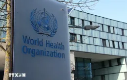 WHO cắt giảm mạnh nhân sự