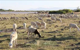 Dự báo tình trạng hạn hán, thiếu nước sẽ kết thúc vào đầu tháng 5