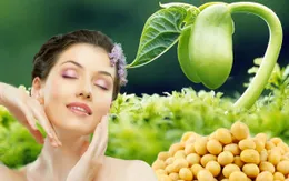 Hiểu đúng về mầm đậu nành : “thủ phạm” hay “cứu tinh” nội tiết tố nữ