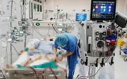 Ứng dụng ECMO và lọc máu hấp phụ cứu sống bệnh nhân ngộ độc thuốc