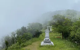 Vườn quốc gia Bạch Mã siết quy định ăn uống: Hướng đến bảo tồn thiên nhiên và trải nghiệm bền vững