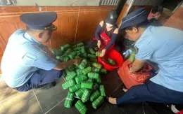 Nghệ An: Phát hiện gần 1 tấn thực phẩm bẩn, không rõ xuất xứ