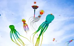 Khánh Hòa: Sôi động lễ hội thả diều trên đồng lúa Đại Điền Đông