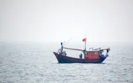 Một số ngư dân Bình Định tử vong khi đang hành nghề trên biển