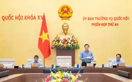 Tạo điều kiện thuận lợi hơn việc nhập quốc tịch Việt Nam