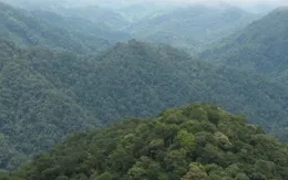 Khu Bảo tồn thiên nhiên Xuân Liên trở thành Vườn Quốc gia