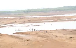 Hồ thuỷ lợi trơ đáy, hàng loạt cây trồng "khát nước"