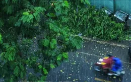 Đề phòng thời tiết nguy hiểm trên đất liền và trên biển do ảnh hưởng không khí lạnh