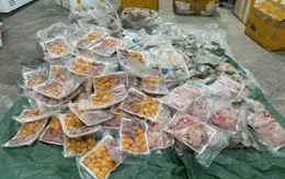 Thực phẩm "bẩn", không rõ nguồn gốc ngập các kho hàng ở Thái Nguyên