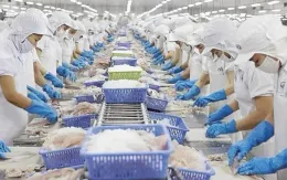 Xuất khẩu tôm tiếp tục tăng cao