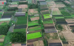 Cận cảnh Khu công nghệ cao sinh học 199 ha tại Bắc Từ Liêm sắp triển khai