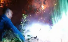 Dập tắt kịp thời vụ cháy rừng thông cạnh cao tốc đi Đà Lạt