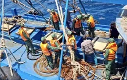 EC lùi thời gian thanh tra “thẻ vàng” IUU đến cuối năm