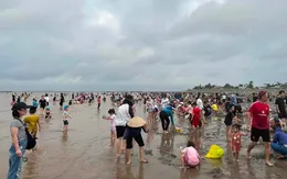 Trào lưu "săn ngao" thu hút hàng nghìn người dịp nghỉ lễ