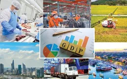 Chuẩn bị Lễ khởi công, khánh thành các dự án quy mô lớn và triển lãm thành tựu kinh tế - xã hội kỷ niệm 80 năm Quốc khánh