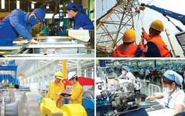 Hơn 51.000 doanh nghiệp đăng ký thành lập mới