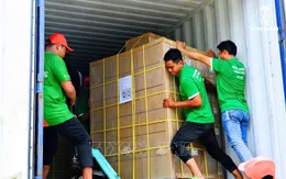 Xuất khẩu chính ngạch đường hoa dừa hữu cơ sang Mỹ