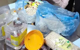 Ngụy trang ma túy trong hộp yến mạch, mua bán qua mạng xã hội