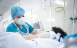 Bệnh viện Chợ Rẫy miễn 100% viện phí cho bệnh nhi bị cây xanh rơi trúng gây chấn thương nặng