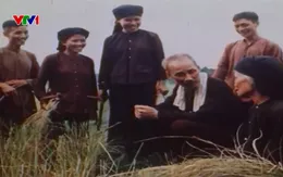 Chủ tịch Hồ Chí Minh - Trọn một đời vì dân