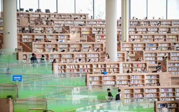 Văn hóa đọc trong thời đại AI