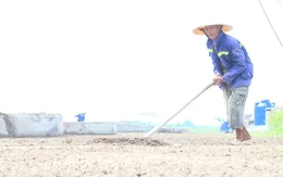 Nghề làm muối Thụy Hải trở thành Di sản văn hóa phi vật thể quốc gia