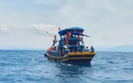 Điều tra nguyên nhân 3 thuyền viên tàu cá tử vong