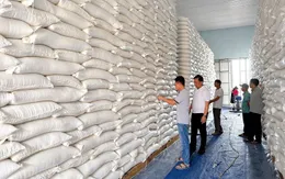 Xuất cấp hơn 668 tấn gạo dự trữ quốc gia hỗ trợ 3 địa phương