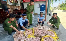 Phát hiện, thu giữ 500kg chân gà, đuôi lợn không rõ nguồn gốc