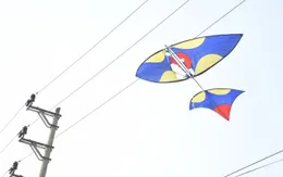 3 học sinh thương vong do điện giật khi đi thả diều