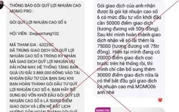 Đầu tư qua MoMo Pro giả mạo, người đàn ông mất hơn 300 triệu đồng