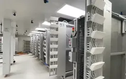 Ứng dụng trí tuệ nhân tạo nuôi muỗi chống sốt xuất huyết tại Singapore