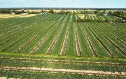 Xâm nhập mặn ở Đồng bằng sông Cửu Long tiếp tục giảm