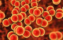 Anh triển khai vaccine phòng bệnh lậu đầu tiên trên thế giới