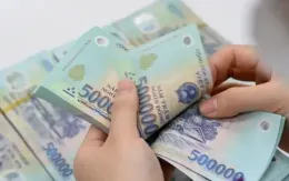 Ngân hàng Nhà nước công bố công cụ hỗ trợ phát triển tín dụng xanh