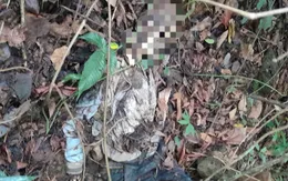 Lâm Đồng: Phát hiện một bộ hài cốt người dưới vực sâu đèo Bảo Lộc