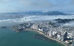 Khánh Hòa: Rạn san hô Hòn Chồng đang phục hồi