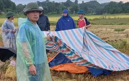 3 người tử vong do sét đánh chỉ trong 2 ngày